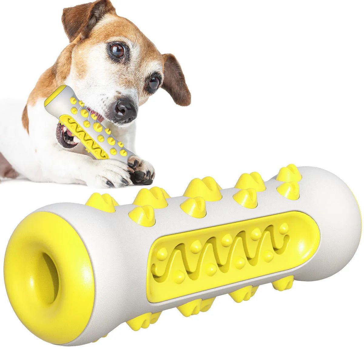 A 15cm long natural rubber dog toothbrush chew toy in assorted colours.