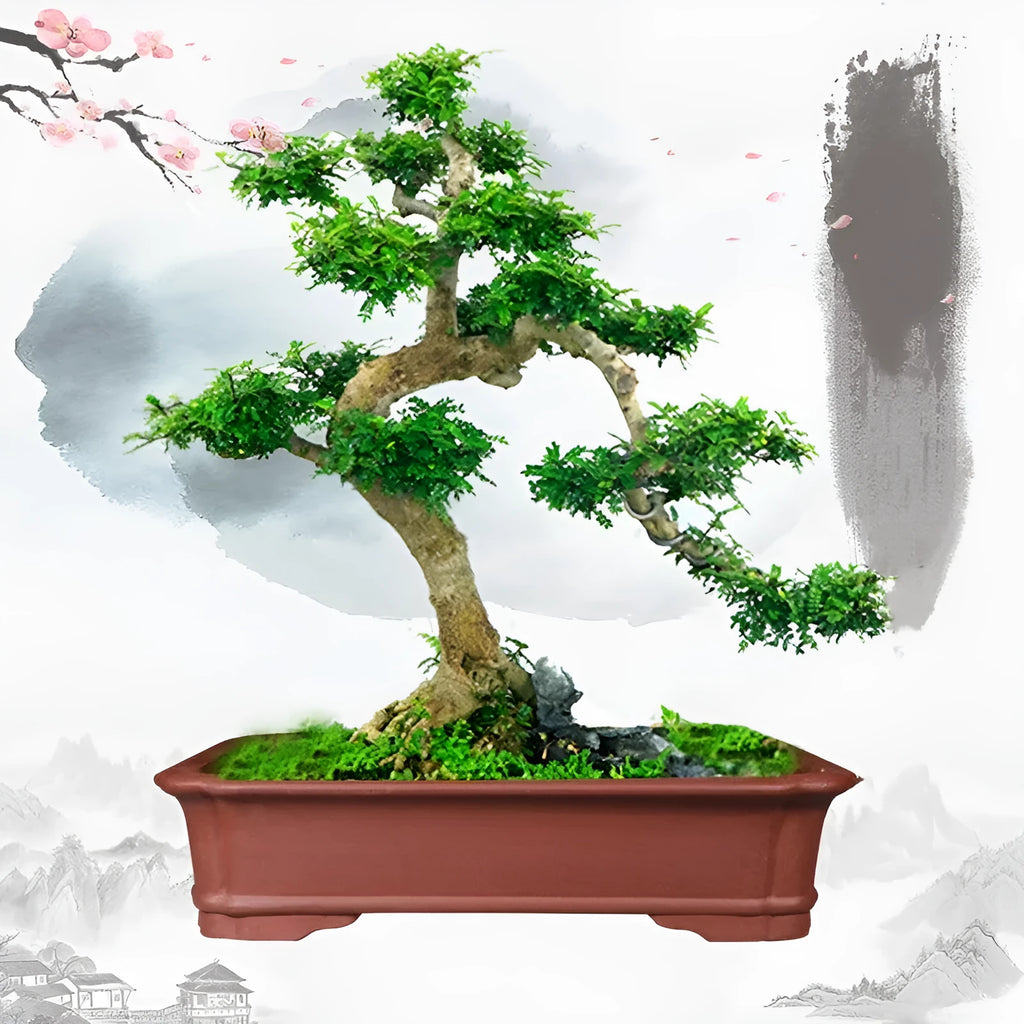 Large rectangular purple clay bonsai pot for indoor plants with three size options