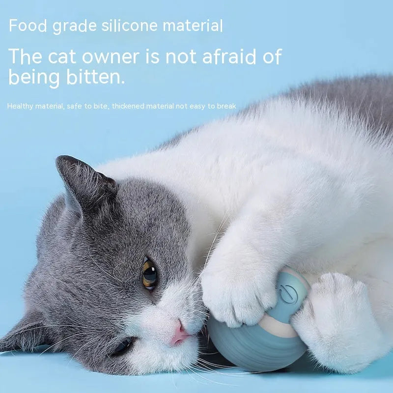 Blue automatic moving cat toy ball with silicone construction for indoor feline play
