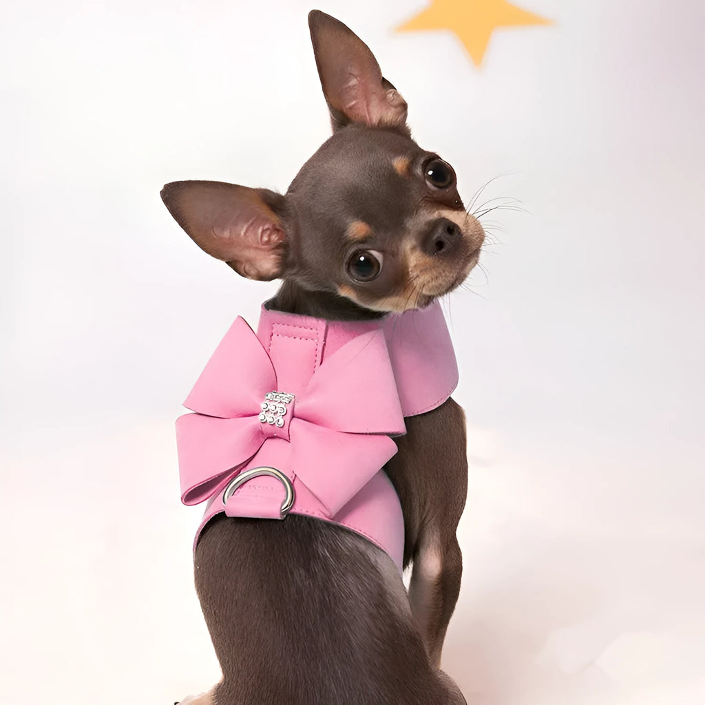 Microfiber dog chest strap with bowknot collar in pink blue orange colours