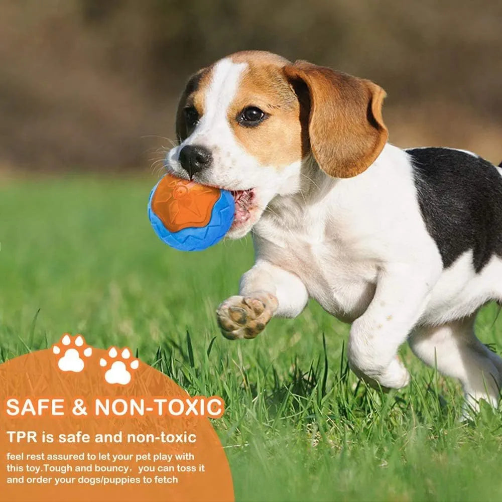 Set of three TPR dog toys: a red ball, blue barbell, and orange tyre on a blue background.