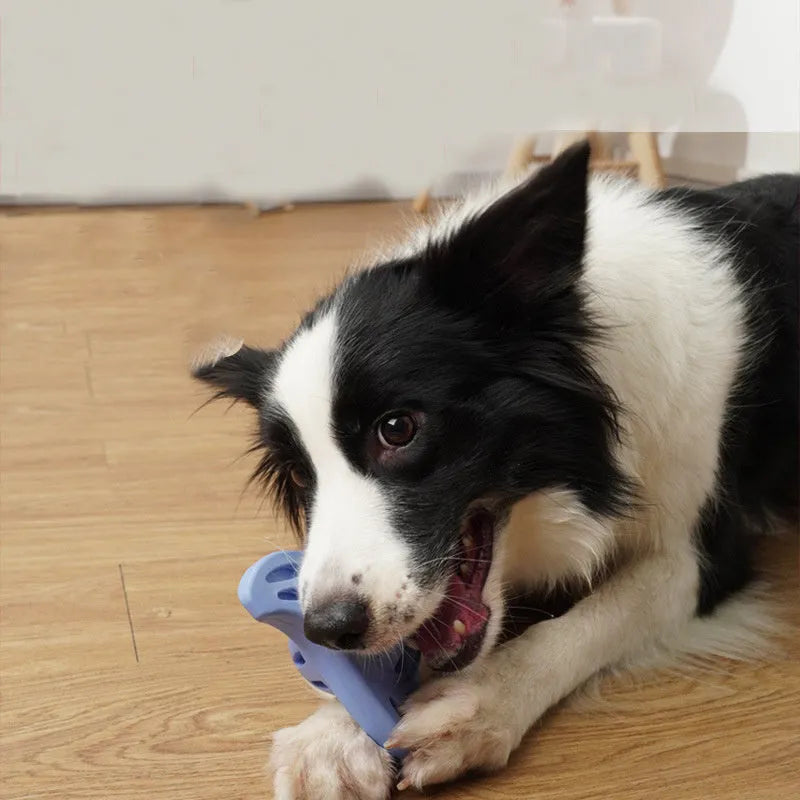 Blue and purple boomerang molar-shaped dog chew toy for medium and large breeds