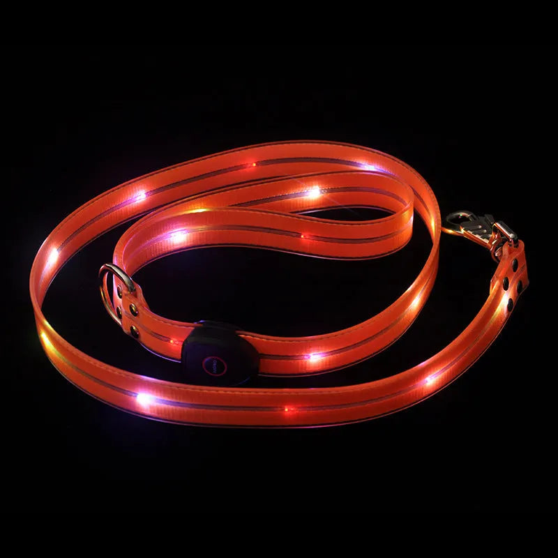 Luminous dog collar and colourful PVC pet leash in fluorescent green, showing hand-held rope section.