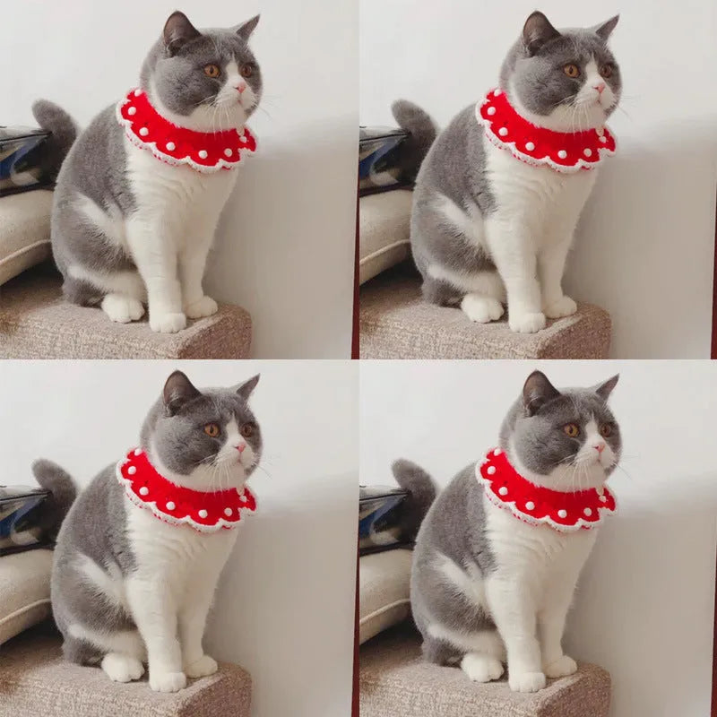 Cartoon-patterned wool knitted collar for small pets in milk cotton on a grey background.