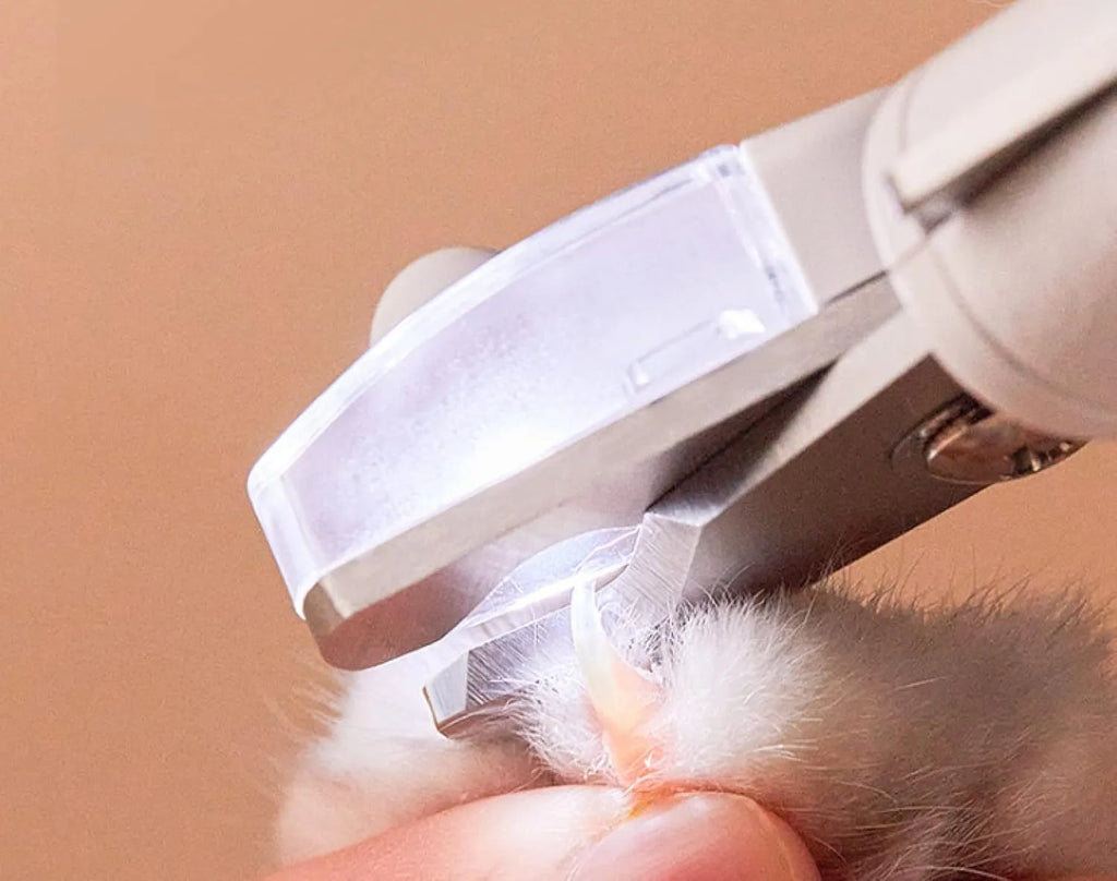 White pet nail clippers with LED light and a transparent anti-splash guard, shown with a nail file.