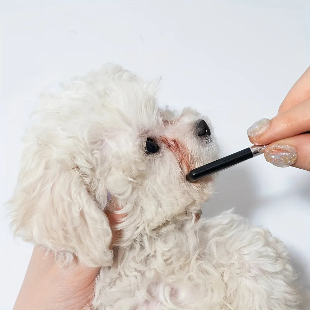 Black ambidextrous pet grooming brush with soft bristles and a comb for dogs and cats.