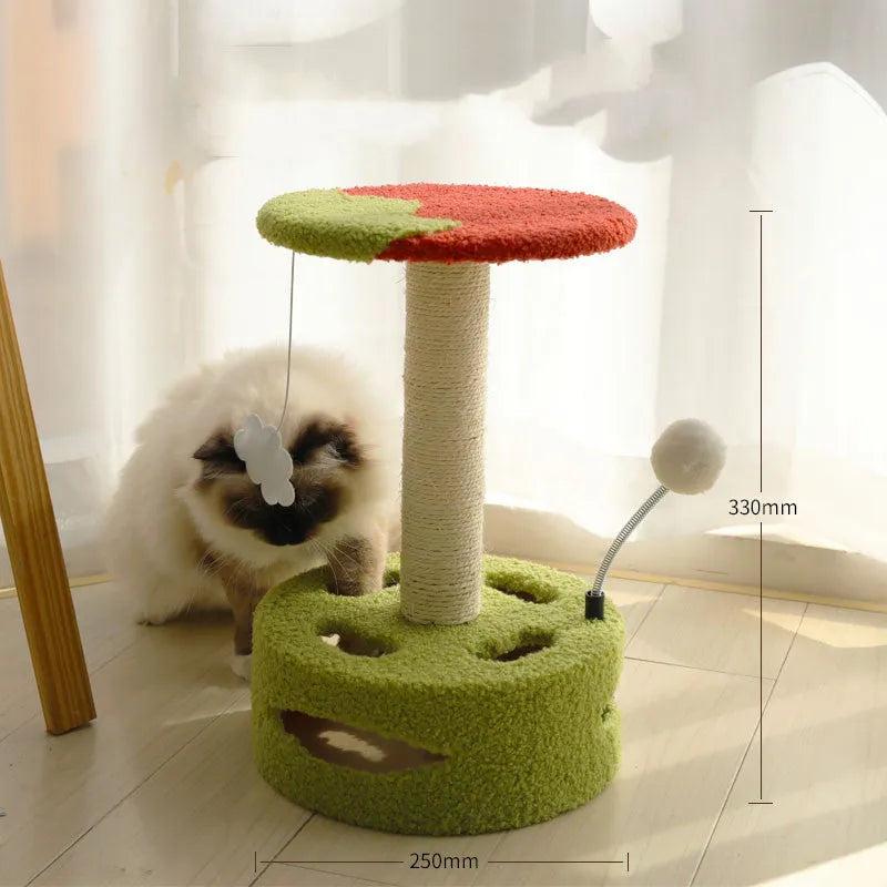 Kitten cat climbing frame with sisal scratching board and interactive play device, stable chassis
