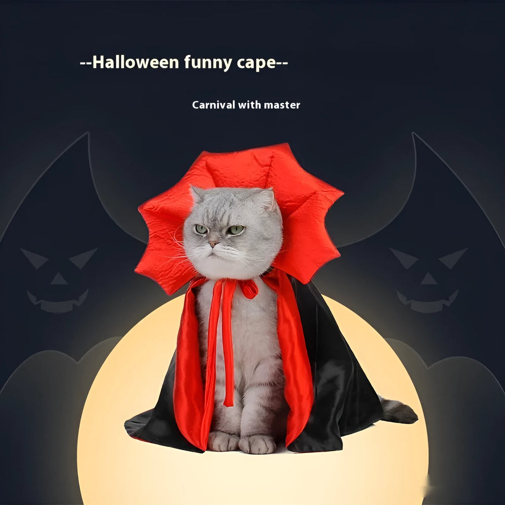 Black and red Halloween costume for a cat or small dog on a mannequin