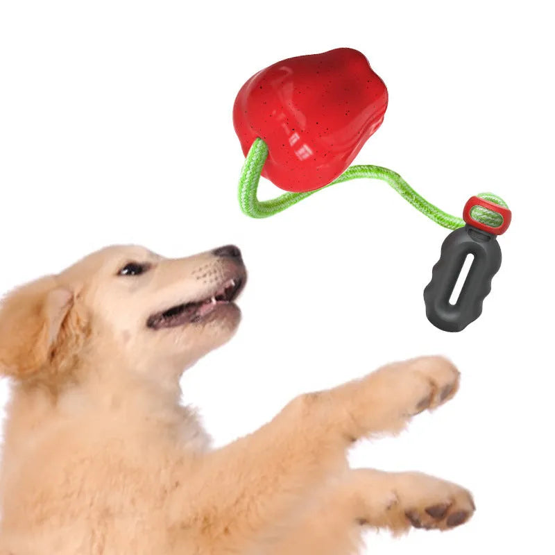 Green plastic dog toy with food dropping ball and molar shape for outdoor play