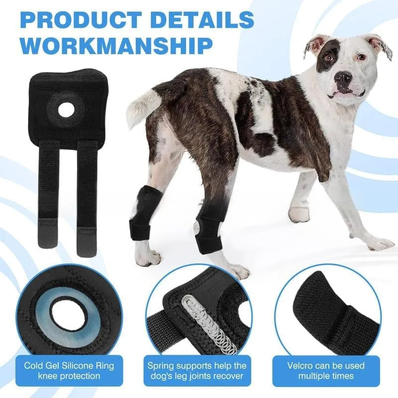 Black pet leg guard for ACL and joint protection showing adjustable fit and polyester construction