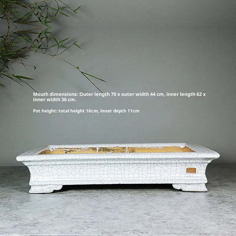 White cracked ceramic bonsai flowerpot with bamboo plant, manual purple sand craft