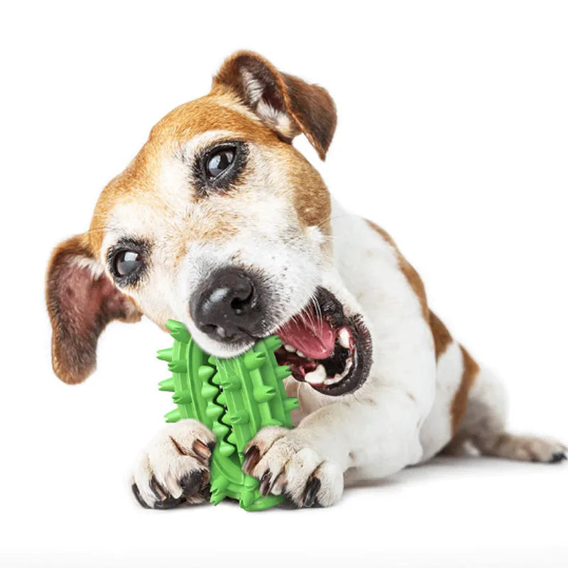 Green cactus-shaped dog toothbrush toy with textured bumps for dental cleaning