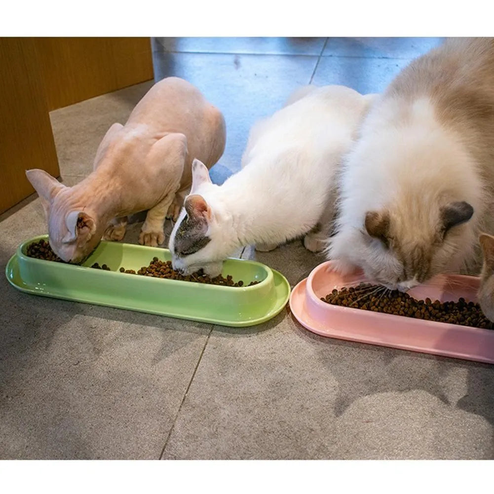 Green pink yellow pet food water feeder with stainless steel bowls and leakproof silicone mat