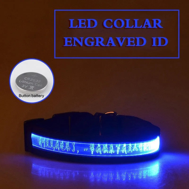 Pet glow collar with radium carved lettering in multiple colours and sizes for dogs