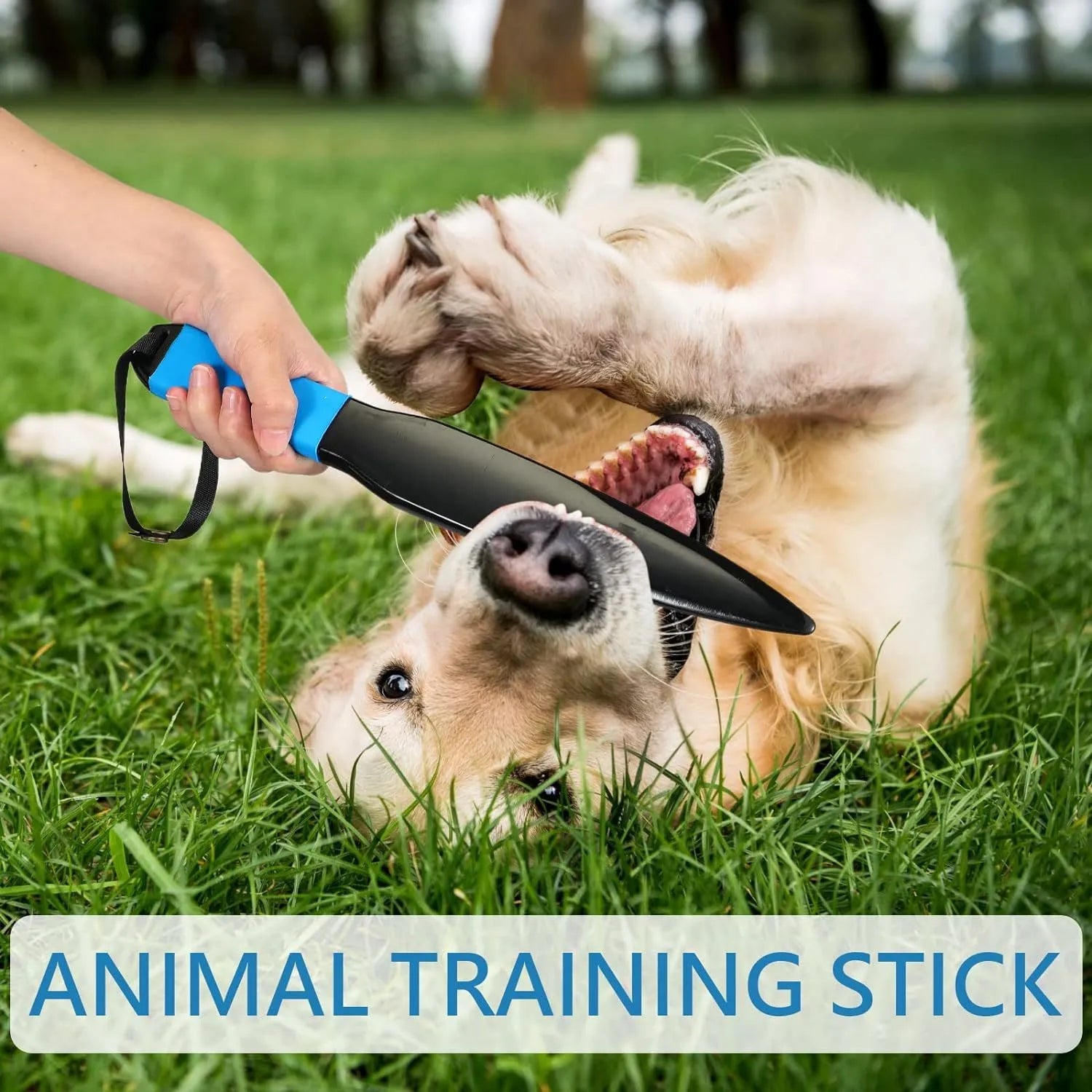 Blue handled nylon dog training bite stick measuring 35 cm for small medium dogs