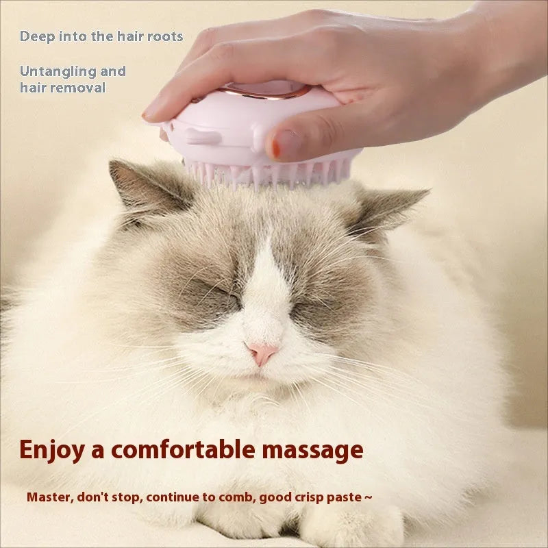 Pet comb grooming brush with integrated laser pointer toy for cats and dogs