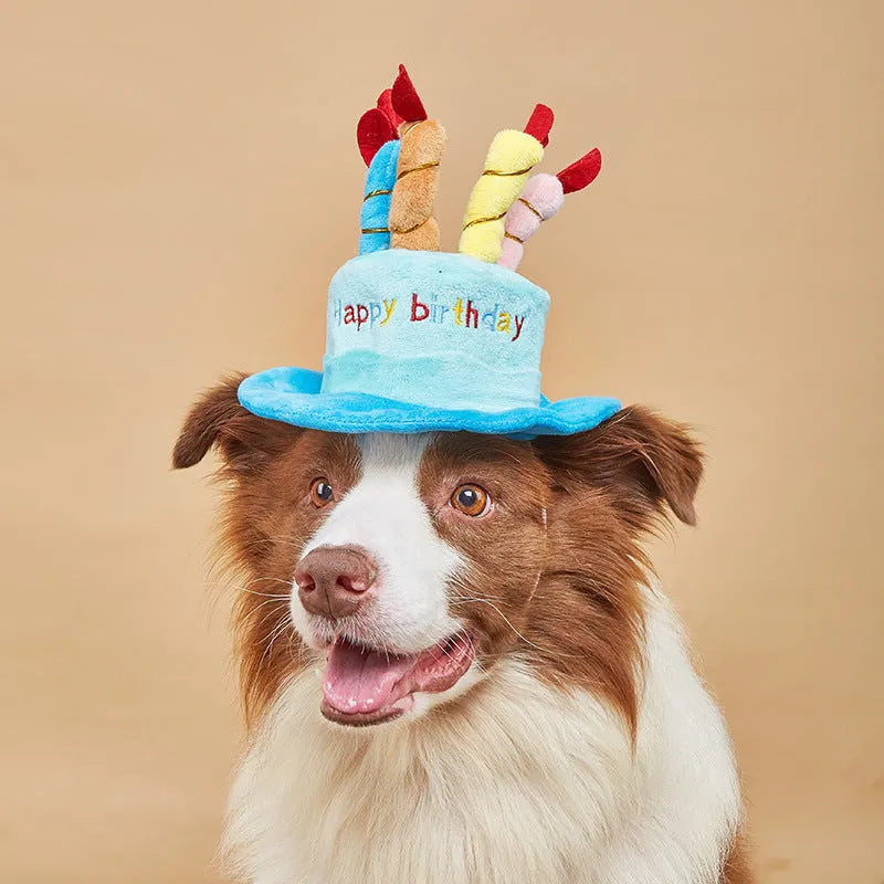 Blue or pink dog birthday hat measuring 21cm for pet celebrations