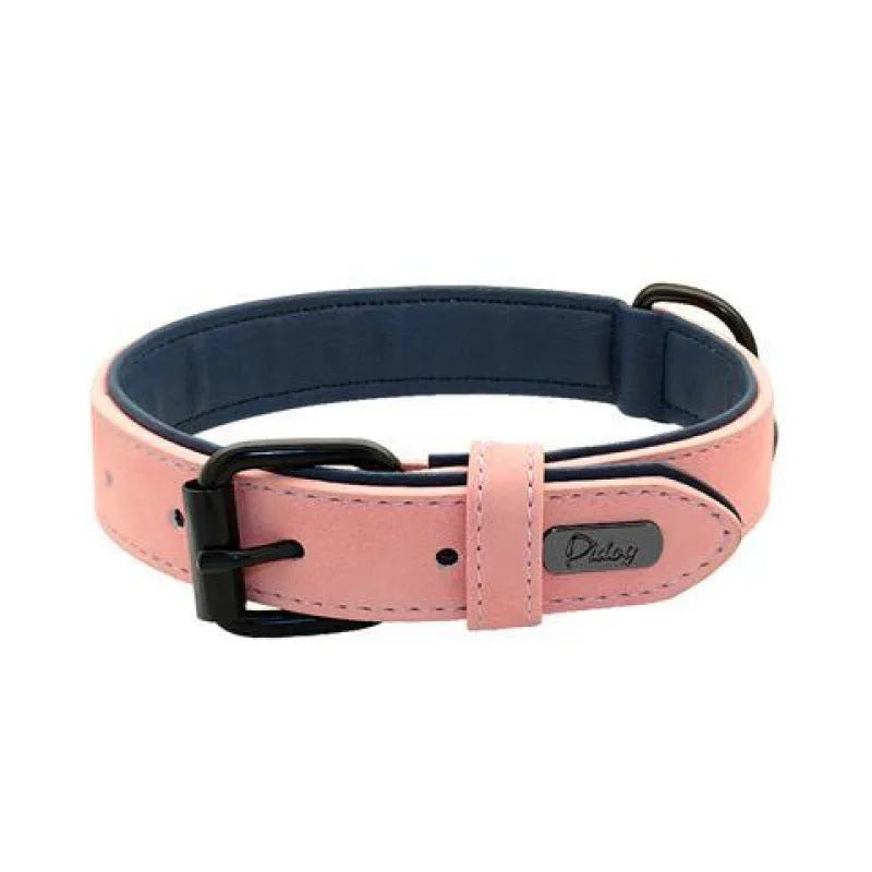 Adjustable dog collar on a white background showing PU front and microfiber back, in a choice of five colours.