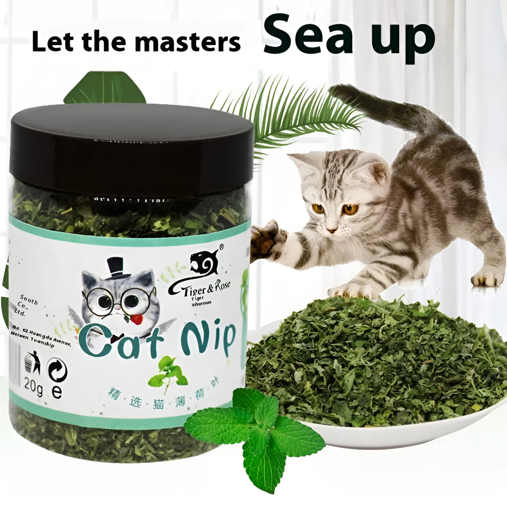 Catnip tea powder in a bottle for cats, 20g net weight, 280ml capacity