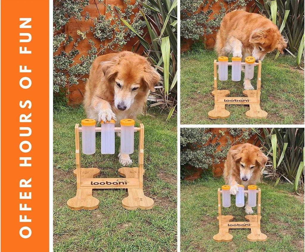 Wood colour 31x30x20cm wooden dog puzzle toy with treat dispensing compartments