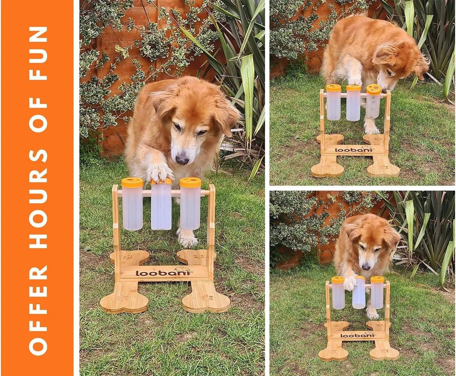 Wood colour 31x30x20cm wooden dog puzzle toy with treat dispensing compartments