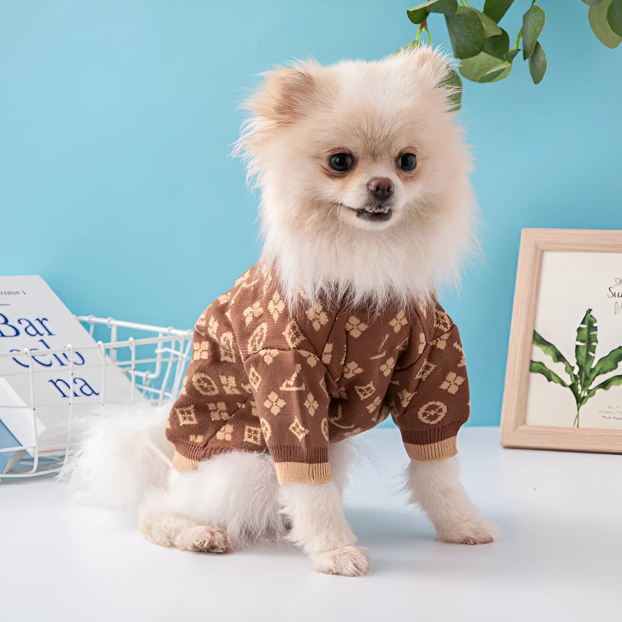 A thick wool knit dog jumper for autumn and winter, shown in a monochrome colour on a model dog.