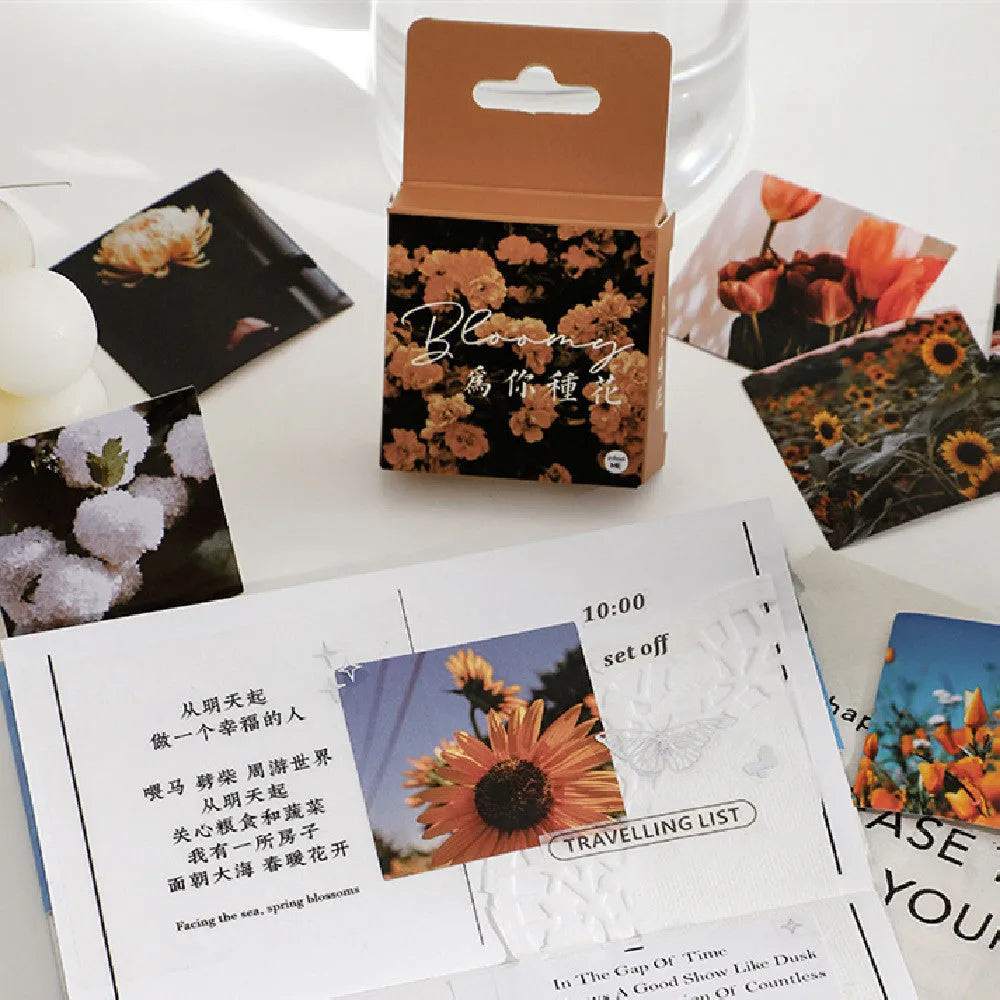 Nordic style decorative stickers in box with mountain, sea and sunshine designs in six colour themes