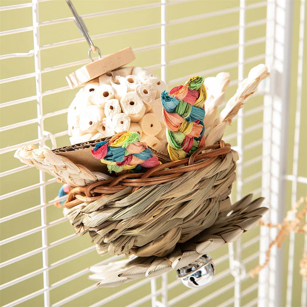 Set of three parrot gnawing molar toys labelled Type A, Type B, and Type C for bird enrichment.