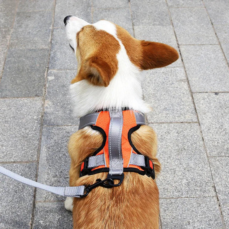 Polyester dog vest harness with chest strap and hand holding rope attachment in various colours