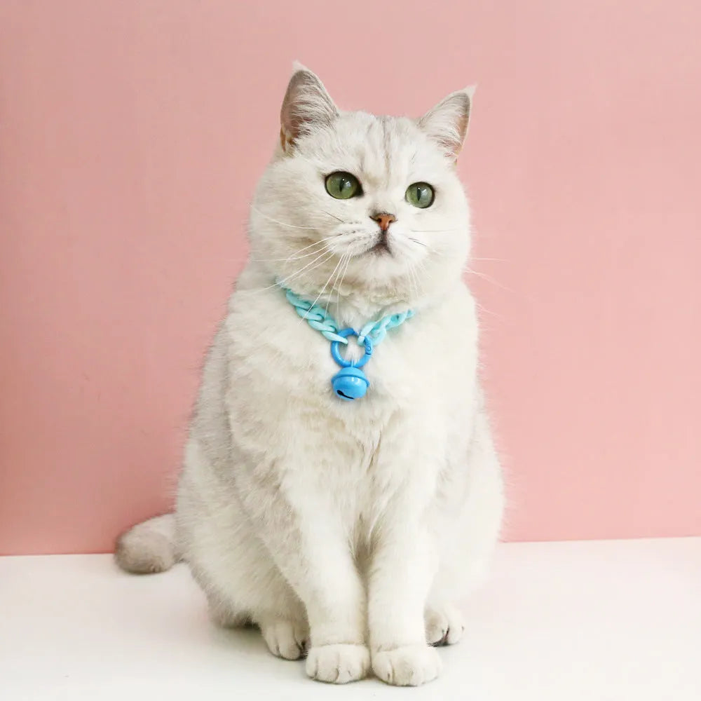 Plastic pet collar in macaron candy colours with chain detailing in blue, pink and mixed options