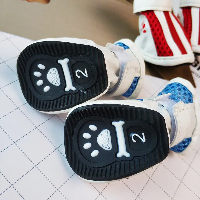 Four blue cloth dog shoes with zipper closures, shown on a small dog's paws.
