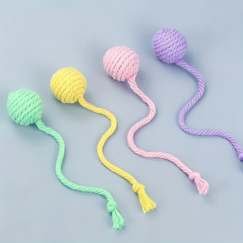 Colourful cat toy ball with rope and built-in bell available in green pink purple yellow for kittens