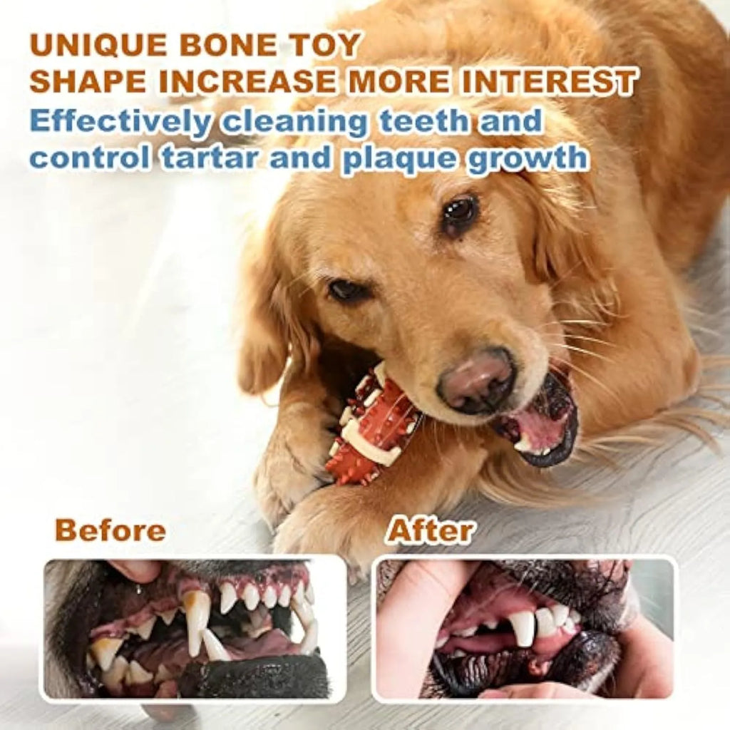 Natural rubber bone-shaped dog chew toy for dental care and anxiety relief in two size options