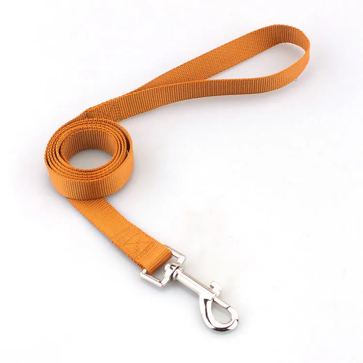 Solid colour polyester dog training lead with integrated hand-holding rope grip shown in blue.