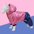 Green waterproof cotton-padded dog coat with four-legged design shown on medium-sized dog