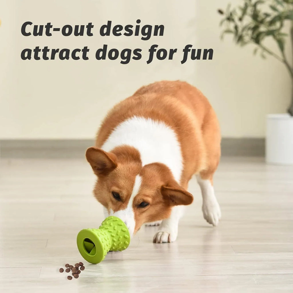 Interactive treat dispensing dog toy in blue, green or purple with hollow centre and food leakage holes