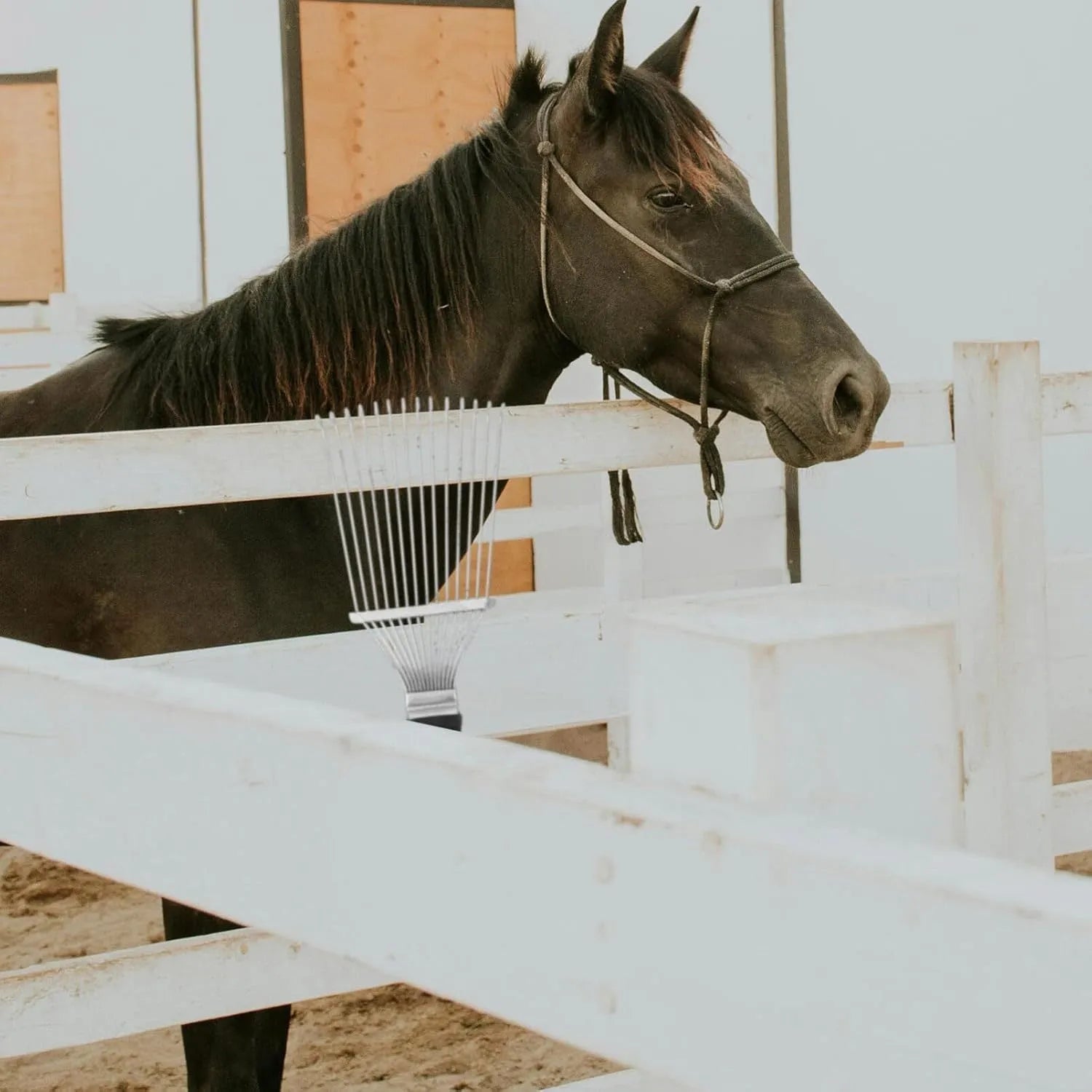 Stainless steel dematting brush rake for grooming horses and large dogs