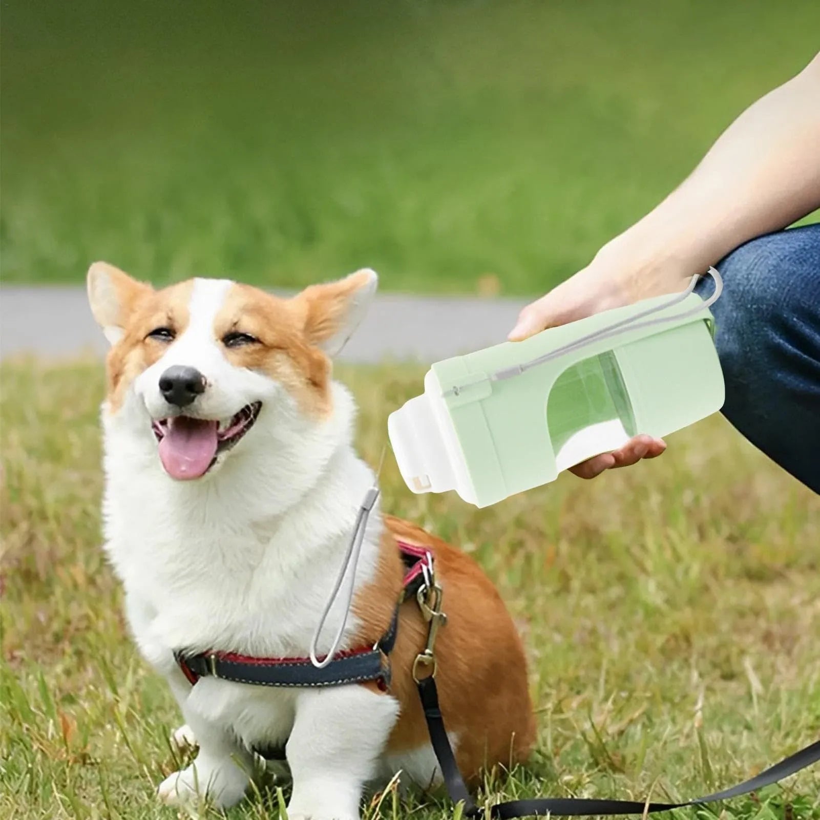 Grey 2-in-1 travel dog water bottle and feeder with lanyard, showing water and food compartments