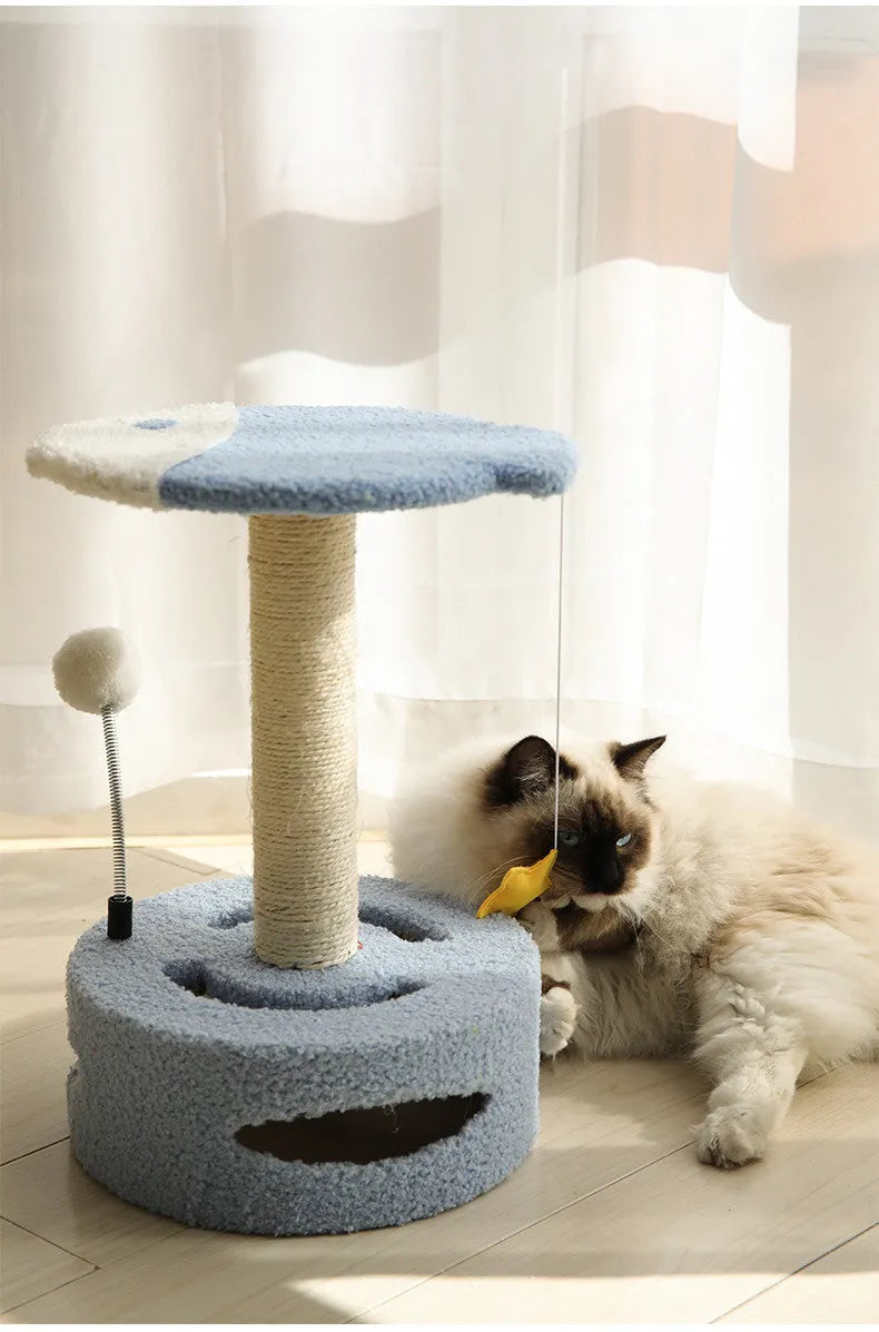 Kitten cat climbing frame with sisal scratching board and interactive play device, stable chassis