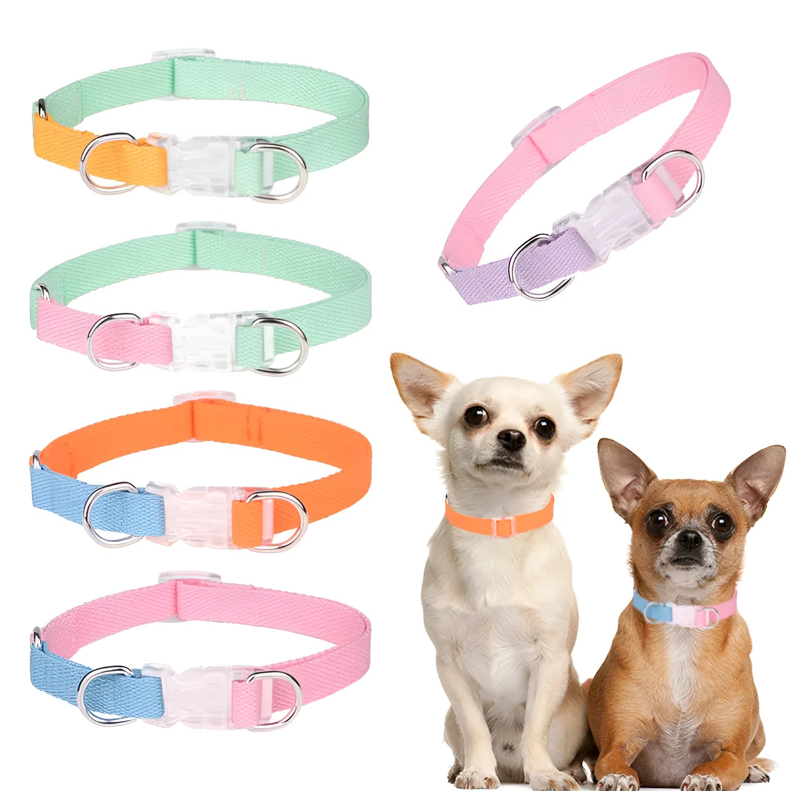 Polyester ribbon dog collar set with matching lead and chest strap in assorted colour combinations