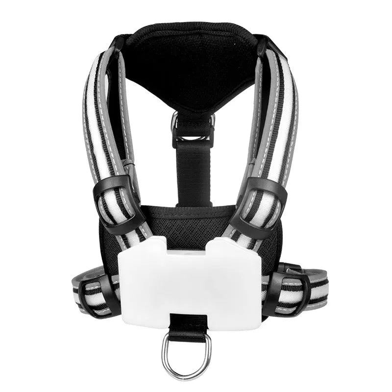 Seven-colour luminous dog lead with charging cable in nylon construction showing size options