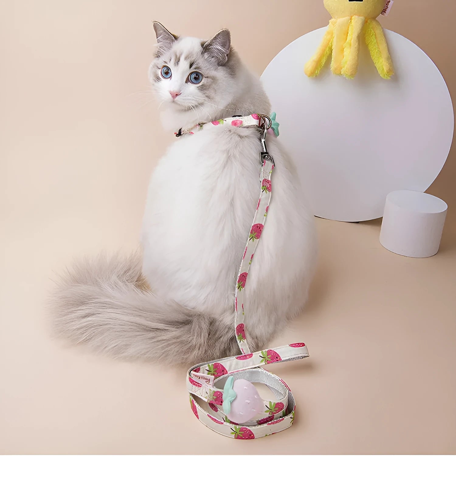 Fruit print dog collar and leash set in green fragrant pear colour for small dogs