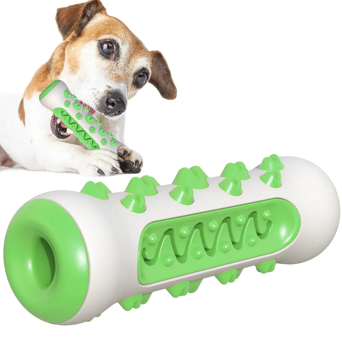 A 15cm long natural rubber dog toothbrush chew toy in assorted colours.