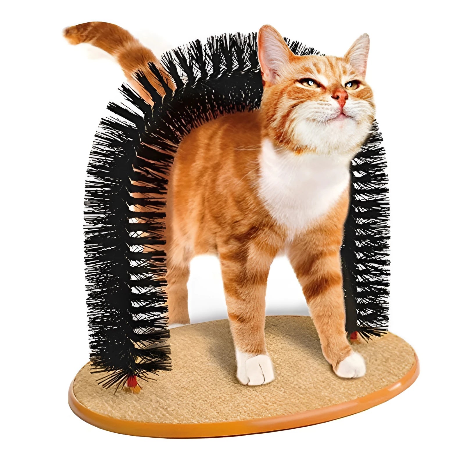 Grey plastic cat grooming arch with integrated brush bristles for scratching and rubbing.