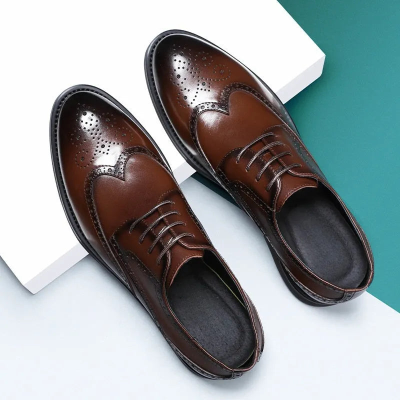 Men's black and brown brogue formal shoes with wingtip perforations, shown on a plain background.