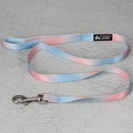Gradient colour nylon pet leash set with dog collar and lead in pink blue yellow purple green combinations