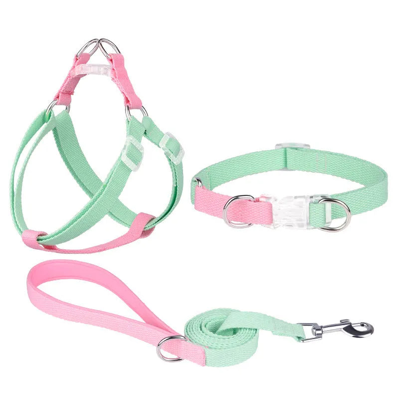 Polyester ribbon dog collar set with matching lead and chest strap in assorted colour combinations