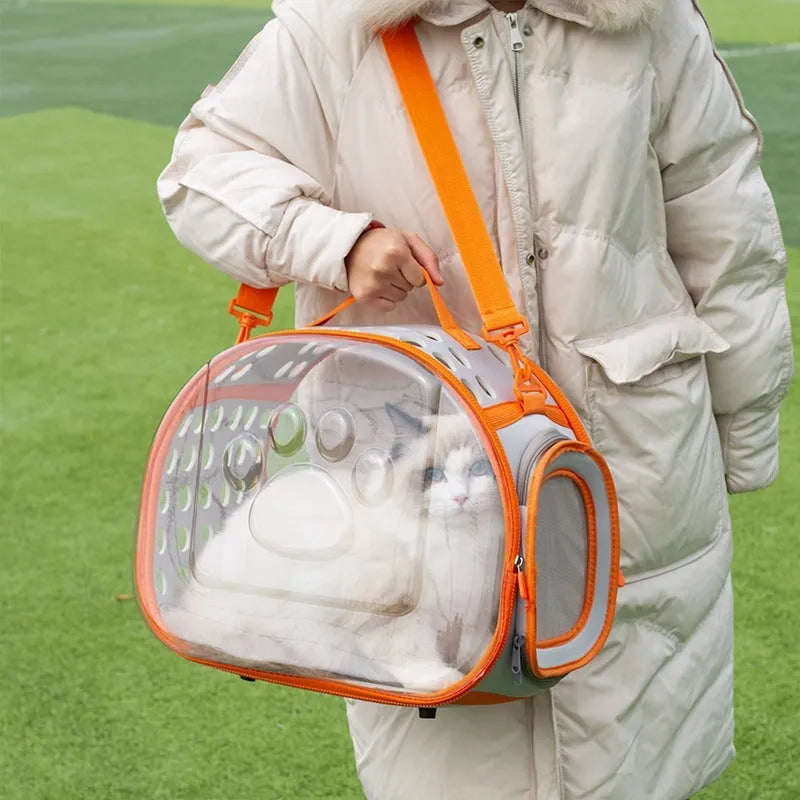 Hard-shell transparent cat carrier backpack in grass green colour, showing large space capsule design.