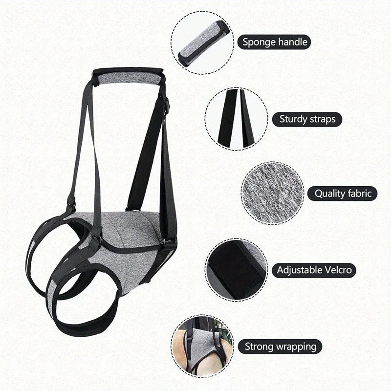 Grey neoprene dog rear leg recovery belt showing waist and thigh support areas