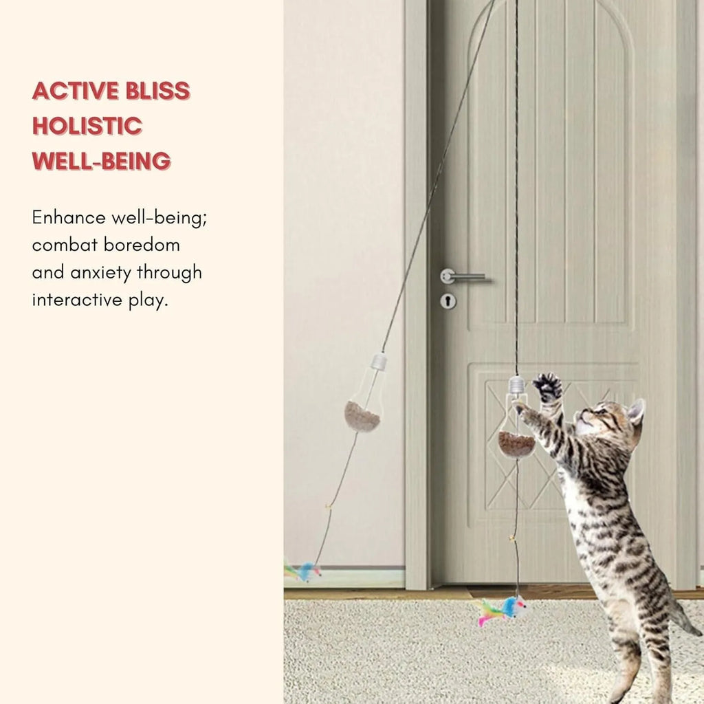 Interactive cat toy hanging from door frame with dangling mouse and chicken toys on elastic rope